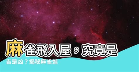 麻雀進屋|【麻雀飛進家裡代表什麼】飛雀臨門，吉兆還是兇兆？麻雀飛進家。